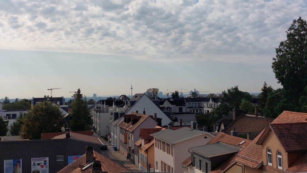 Ausblick